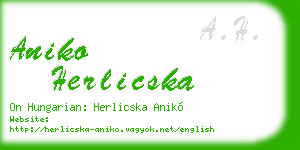 aniko herlicska business card